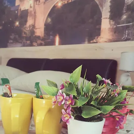Flower * Mostar